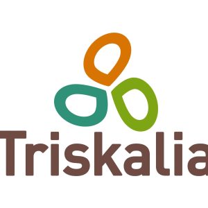 Triskalia Recrutement Decembre 2020 Jobijoba